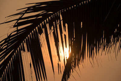 Low angle view of silhouette palm trees against sky during sunset