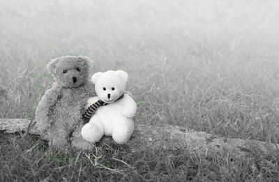 Teddy bears on field during foggy weather