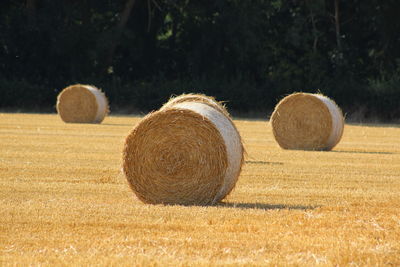 Hay bales on field