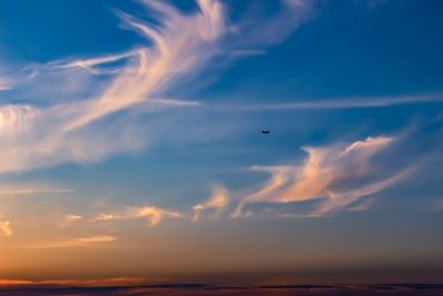 Low angle view of bird flying in sky