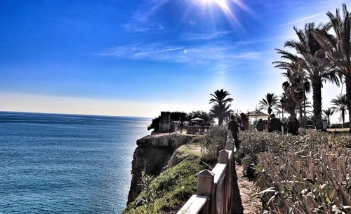 Palm trees on beach against sky
