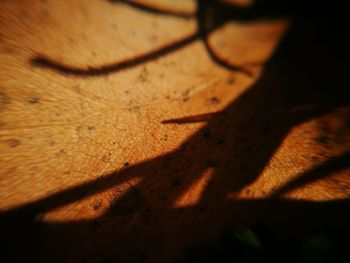 Full frame shot of shadow on wood