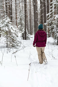 Rear view of young woman in red jacket walking in winter snowy coniferous forest,  hiking in nature,