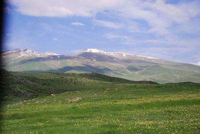 Scenic view of landscape against cloudy sky
