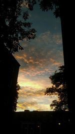 Silhouette of trees against cloudy sky