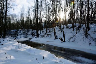 Bare trees on snow covered landscape