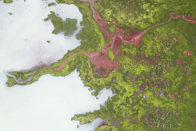 Drone view of rough rocky brown formations surrounded by lush green plants covered with thick fog in nature of iceland