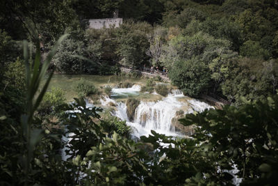 Scenic view of waterfall in forest