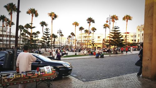 Palm trees in city