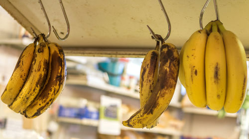 Close-up of fruits hanging