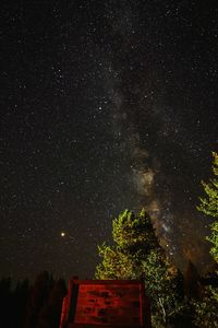 Low angle view of trees against sky at night