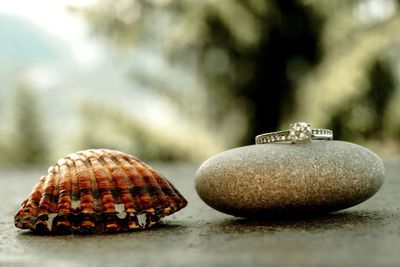 Close-up of shells, rock and wedding ring