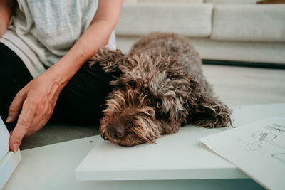 Midsection of woman with dog working on wood on table