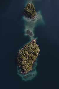 Island in the middle of nahuel huapi lake