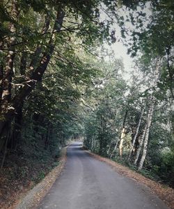 Road amidst trees in forest