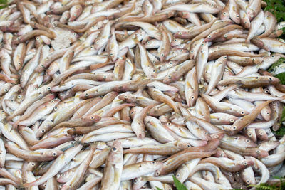 Full frame shot of fish for sale in market