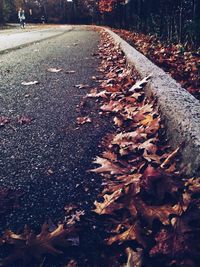 Fallen leaves on road