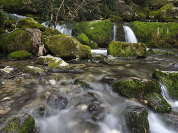 High angle view of waterfall along trees