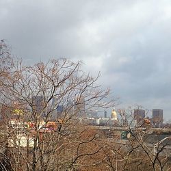 Bare trees against cloudy sky