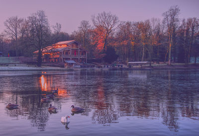 Frozen morning in the bois de la cambre, brussels