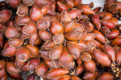 Full frame shot of snake fruits for sale at market