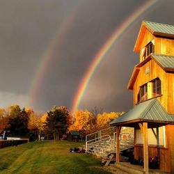 Rainbow over trees