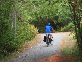 Rear view of man riding bicycle on road