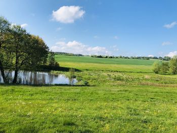 Scenic view of field against sky