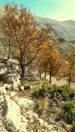 Scenic view of mountains