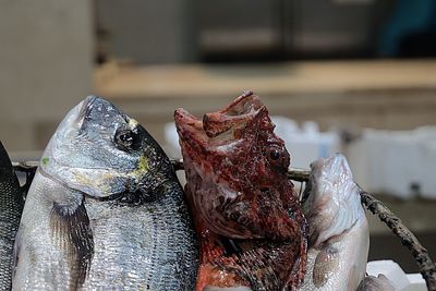 Close-up of fish for sale in market