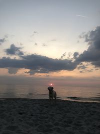 Man riding horse on beach