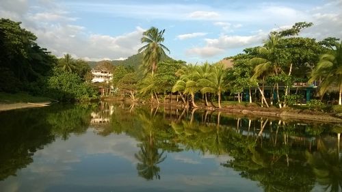 Scenic view of lake by trees against sky