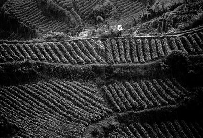 Full frame shot of tiled floor
