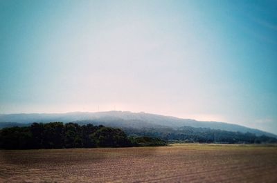 Scenic view of field against clear sky