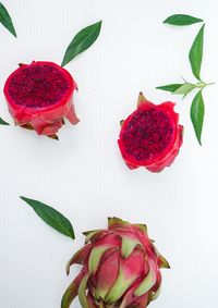 Close-up of pink roses against white background