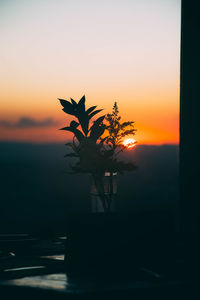 Silhouette plant against sky during sunset