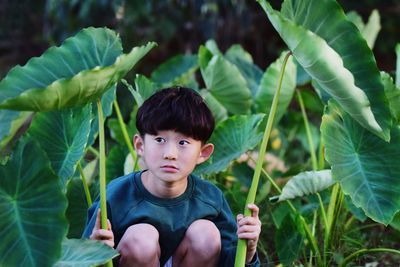 Thoughtful boy holding leaves while crouching on field