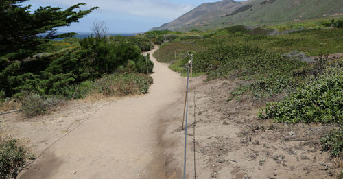 Empty road along plants and mountains