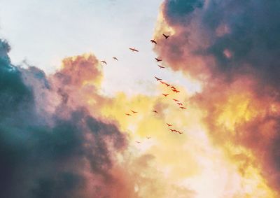 Low angle view of birds flying in sky