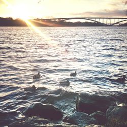 Scenic view of sea at sunset