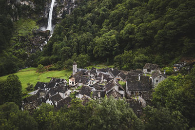 High angle view of old houses amidst trees