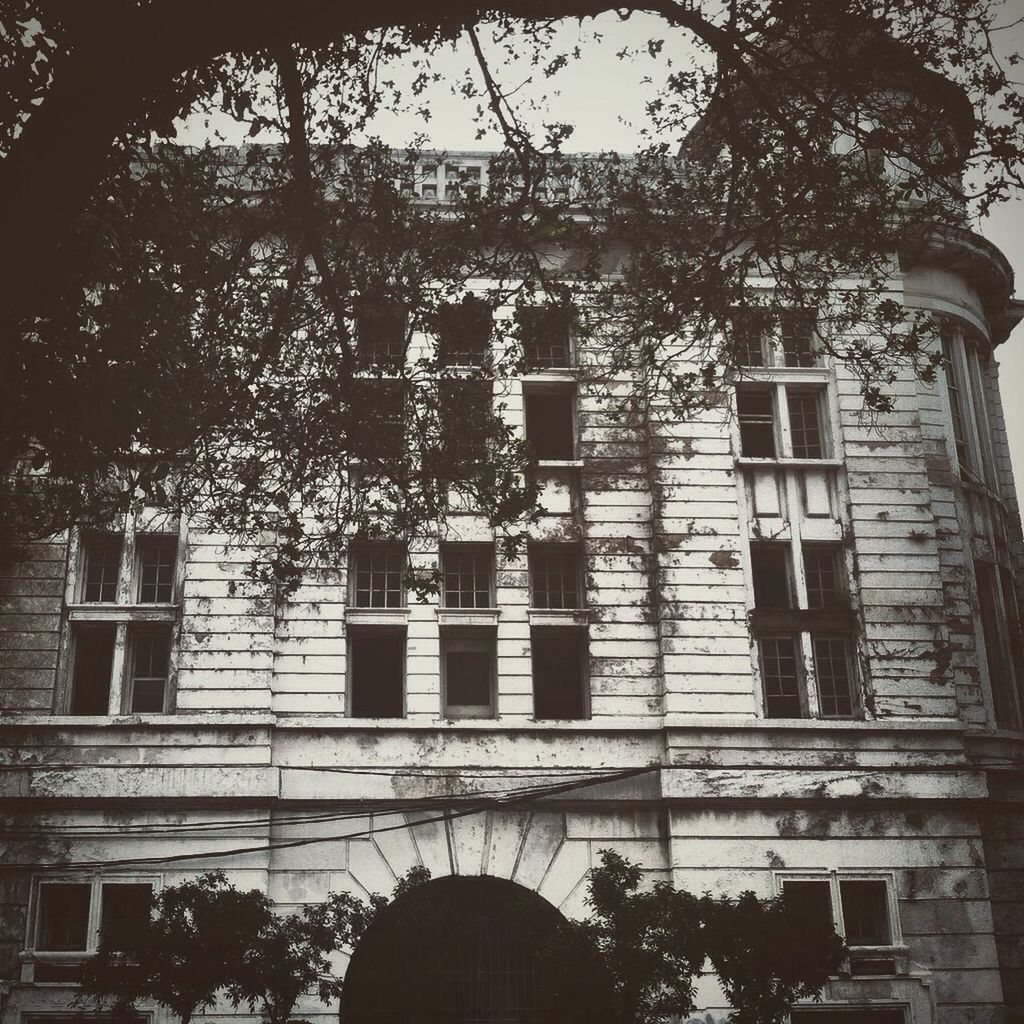 architecture, built structure, building exterior, tree, low angle view, window, building, city, arch, residential building, residential structure, day, sky, outdoors, no people, growth, branch, facade, exterior, house