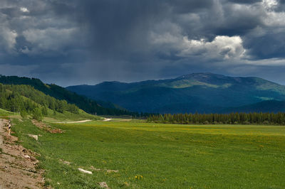 Scenic view of field against sky