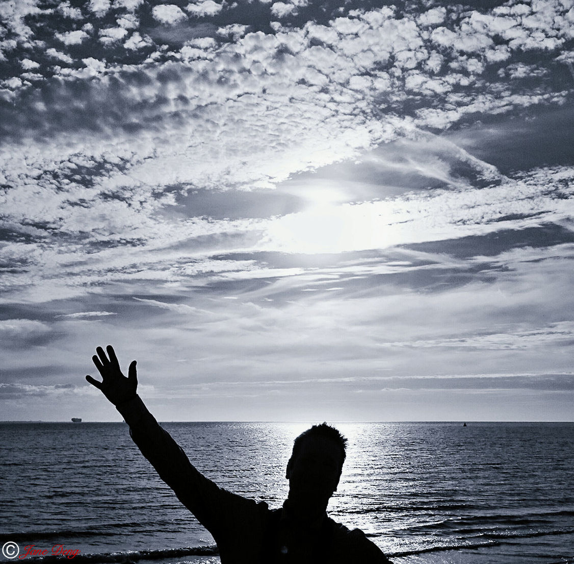 SILHOUETTE OF PEOPLE ON BEACH