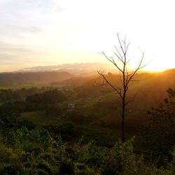 Scenic view of landscape against sky during sunset