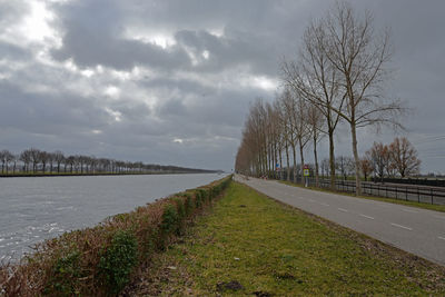 Road by bare trees against sky