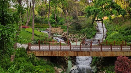 Footbridge over river amidst trees in forest