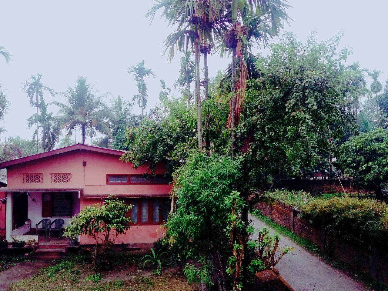 growth, tree, plant, building exterior, built structure, leaf, nature, architecture, green color, branch, water, house, reflection, beauty in nature, growing, flower, clear sky, no people, outdoors, day