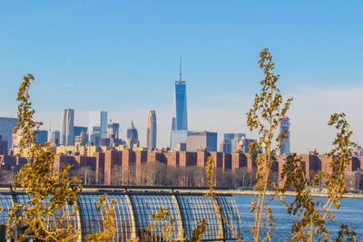 Plants against manhattan skyline