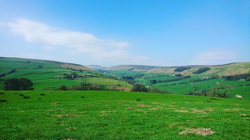 Hilly countryside